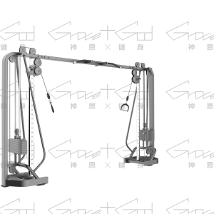 【來信詢價】大飛鳥